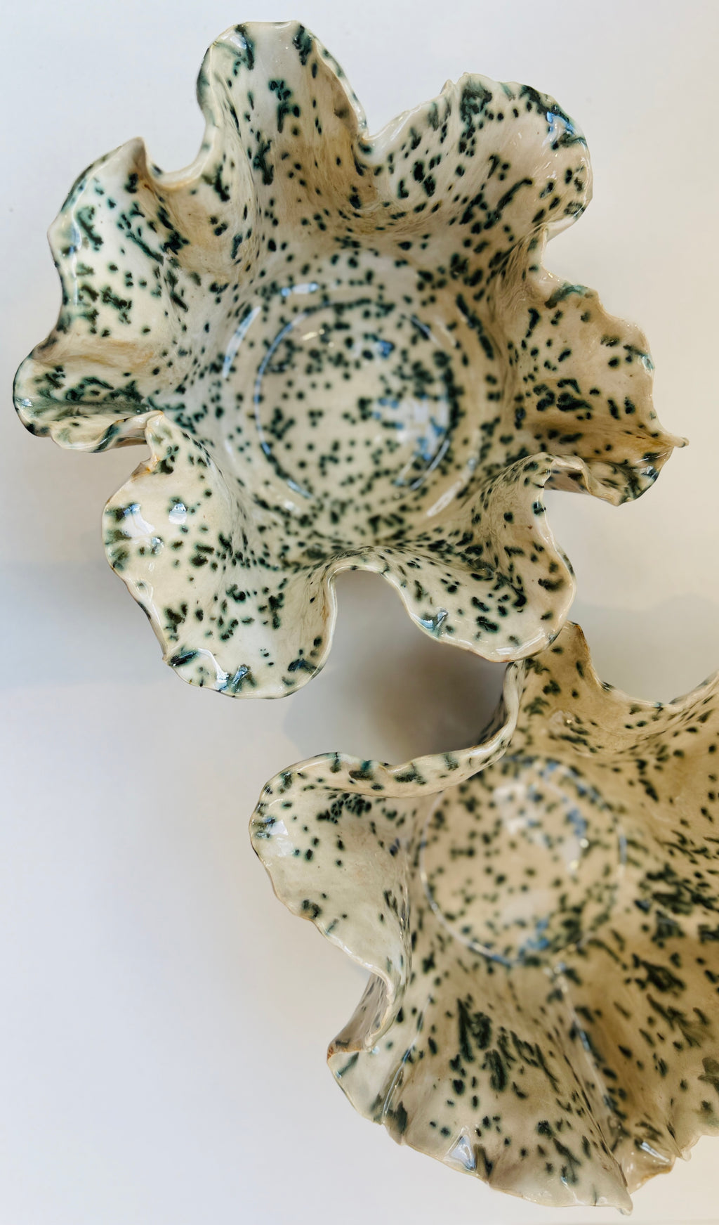 Lichen