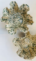 Lichen